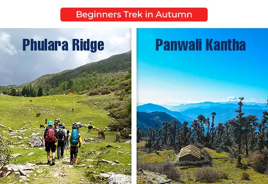 Best Trek for Beginners in Autumn – Phulara Ridge & Panwali Kantha